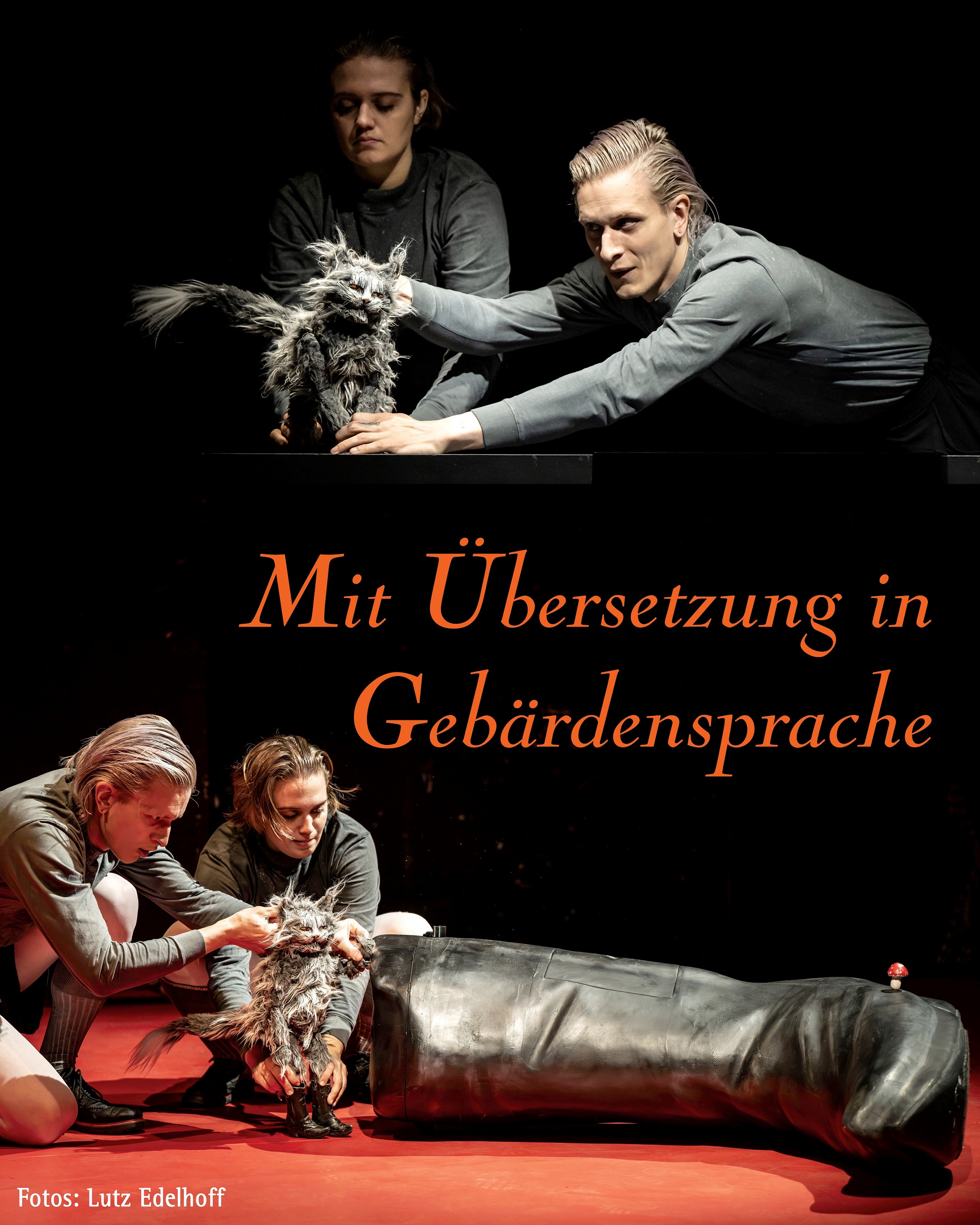 Der gestiefelte Kater klein